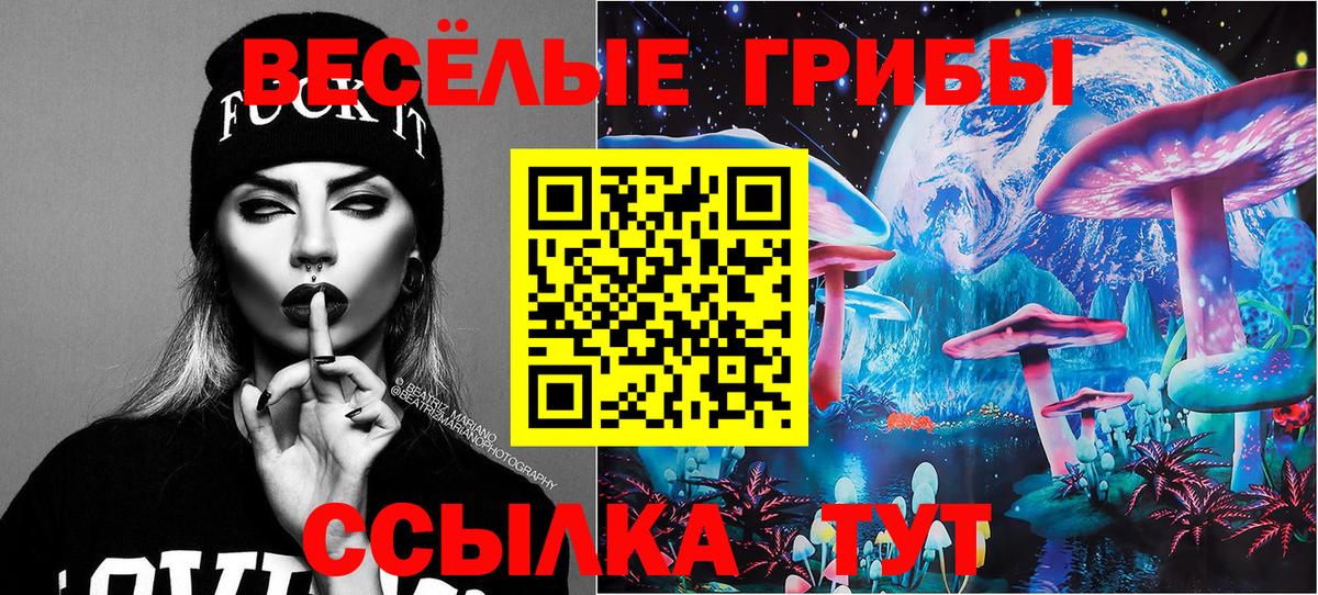 Псилоцибиновые грибы Psilocybe Краснодар